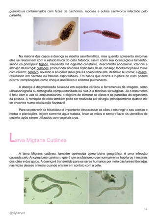 14
@lilyfazvet
granulosus contaminados com fezes de cachorros, raposas e outros carnívoros infectado pelo
parasita.
Na maioria dos casos a doença se mostra assintomática, mas quando apresenta sintomas
eles se relacionam com o estado físico do cisto hidático, assim como sua localização e tamanho,
sendo os principais: fígado, causando má digestão constante, desconforto abdominal, icterícia e
inchaço da barriga; pulmões, produzindo sintomas como falta de ar, cansaço fácil hemoptise e tosse
com catarro; cérebro, levando a sintomas mais graves como febre alta, desmaio ou coma; e ossos,
resultando em necrose ou fraturas espontâneas. Em casos que ocorra a ruptura do cisto podem
ocorrer complicações como choque anafilático e edemas pulmonares.
A doença é diagnosticada baseada em aspectos clínicos e ferramentas de imagem, como
ultrassonografia ou tomografia computadorizada ou raio-X e técnicas sorológicas. Já o tratamento
é feito com o uso de antiparasitários, o objetivo de eliminar os cistos e os parasitas do organismo
da pessoa. A remoção do cisto também pode ser realizada por cirurgia, principalmente quando ele
se encontra numa localização favorável
Para se prevenir da hidatidose é importante desparasitar os cães e restringir o seu acesso a
hortas e plantações, ingerir somente água tratada, lavar as mãos e sempre lavar os utensílios de
cozinha após serem utilizados com vegetais crus.
arva Migrans Cutânea
A larva Migrans cutânea, também conhecida como bicho geográfico, é uma infecção
causada pelo Ancylostoma caninum, que é um ancilóstomo que normalmente habita os intestinos
dos cães e dos gatos. A doença é transmitida para os seres humanos por meio das larvas liberadas
nas fezes desses animais quando entram em contato com a pele.
 