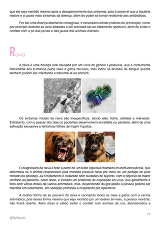 19
@lilyfazvet
que ele seja mantido mesmo após o desaparecimento dos sintomas, pois é possível que a bactéria
reative e a cause mais sintomas da doença, além de poder se tornar resistente aos antibióticos.
Por ser uma doença altamente contagiosa, é necessário adotar práticas de prevenção, como
por exemplo detectar as aves afetadas e em submetê-las ao tratamento oportuno, além de evitar o
contato com o pó das penas e das jaulas dos animais doentes.
aiva
A raiva é uma doença viral causada por um vírus do gênero Lyssavirus, que é comumente
transmitida aos humanos pelos cães e gatos raivosos, mas todos os animais de sangue quente
também podem ser infectados e transmiti-la ao homem.
Os sintomas iniciais da raiva são inespecíficos, sendo eles: febre, cefaleia e mal-estar.
Entretanto, com o passar dos dias os pacientes desenvolvem encefalite ou paralisia, além de uma
salivação excessiva e tentativas falhas de ingerir líquidos.
O diagnóstico da raiva é feito a partir de um teste especial chamado imunofluorescência, que
determina se o animal responsável pela mordida possuía raiva por meio de um pedaço de pele
retirado do pescoço. Já o tratamento é realizado com cuidados de suporte, com o objetivo de trazer
conforto ao paciente. Além disso, é iniciado um protocolo de exposição ao vírus, que geralmente é
feito com várias doses da vacina antirrábica, mas, dependendo da gravidade a pessoa poderá ser
mantida em isolamento, em sedação profunda e respirando por aparelhos.
A melhor forma de se prevenir da raiva é vacinando todos os cães e gatos com a vacina
antirrábica, pois dessa forma mesmo que seja mordido por um destes animais, a pessoa mordida,
não ficará doente. Além disso é valido evitar o contato com animais de rua, abandonados e
 