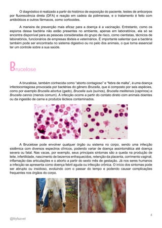 4
@lilyfazvet
O diagnóstico é realizado a partir do histórico de exposição do paciente, testes de anticorpos
por fluorescência direta (DFA) e reação em cadeia da polimerase, e o tratamento é feito com
antibióticos e outros fármacos, como corticoides.
A maneira de prevenção mais eficaz para a doença é a vacinação. Entretanto, como os
esporos dessa bactéria não estão presentes no ambiente, apenas em laboratórios, ela só se
encontra disponível para as pessoas consideradas do grupo de risco, como cientistas, técnicos de
laboratórios, funcionários de empresas têxteis e veterinários. É importante salientar que a bactéria
também pode ser encontrada no sistema digestivo ou no pelo dos animais, o que torna essencial
ter um controle sobre a sua saúde.
rucelose
A brucelose, também conhecida como “aborto contagioso” e “febre de malta”, é uma doença
infectocontagiosa provocada por bactérias do gênero Brucella, que é composto por seis espécies,
como por exemplo Brucella abortus (gado), Brucella suis (suínos), Brucella melitensis (caprinos) e
Brucella cannis (menos comum). A infecção ocorre a partir do contato direto com animais doentes
ou da ingestão de carne e produtos lácteos contaminados.
A Brucelose pode envolver qualquer órgão ou sistema no corpo, sendo uma infecção
sistêmica com diversos espectros clínicos, podendo variar de doença assintomática até doença
severa ou fatal. Nas vacas, por exemplo, seus principais sintomas são a queda na produção de
leite, infertilidade, nascimento de bezerros enfraquecidos, retenção da placenta, corrimento vaginal,
inflamação das articulações e o aborto a partir do sexto mês de gestação. Já nos seres humanos
a infecção se apresenta como doença febril aguda ou infecção crônica. O início dos sintomas pode
ser abrupto ou insidioso, evoluindo com o passar do tempo e podendo causar complicações
frequentes nos órgãos do corpo.
 