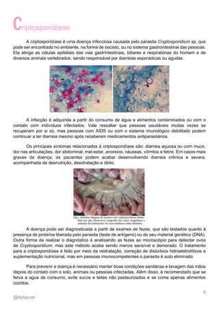 6
@lilyfazvet
riptosporidíase
A criptosporidíase é uma doença infecciosa causada pelo parasita Cryptosporidium sp, que
pode ser encontrado no ambiente, na forma de oocisto, ou no sistema gastrointestinal das pessoas.
Ela atinge as células epiteliais das vias gastrintestinais, biliares e respiratórias do homem e de
diversos animais vertebrados, sendo responsável por diarreias esporádicas ou agudas.
A infecção é adquirida a partir do consumo de água e alimentos contaminados ou com o
contato com indivíduos infectados. Vale ressaltar que pessoas saudáveis muitas vezes se
recuperam por si só, mas pessoas com AIDS ou com o sistema imunológico debilitado podem
continuar a ter diarreia mesmo após receberem medicamentos antiparasitários.
Os principais sintomas relacionados à criptosporidíase são: diarreia aquosa ou com muco,
dor nas articulações, dor abdominal, mal-estar, anorexia, náuseas, vômitos e febre. Em casos mais
graves da doença, os pacientes podem acabar desenvolvendo diarreia crônica e severa,
acompanhada de desnutrição, desidratação e óbito.
A doença pode ser diagnosticada a partir de exames de fezes, que são testados quanto à
presença de proteína liberada pelo parasita (teste de antígeno) ou do seu material genético (DNA).
Outra forma de realizar o diagnóstico é analisando as fezes ao microscópio para detectar ovos
de Cryptosporidium, mas este método acaba sendo menos sensível e demorado. O tratamento
para a criptosporidíase é feito por meio da reidratação, correção de distúrbios hidroeletrolíticos e
suplementação nutricional, mas em pessoas imunocompetentes o parasita é auto eliminado
Para prevenir a doença é necessário manter boas condições sanitárias e lavagem das mãos
depois do contato com o solo, animais ou pessoas infectadas. Além disso, é recomendado que se
ferva a agua de consumo, evite sucos e leites não pasteurizados e se coma apenas alimentos
cozidos.
 