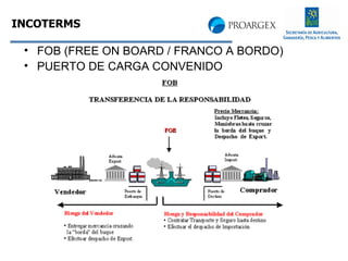 FOB (FREE ON BOARD / FRANCO A BORDO) PUERTO DE CARGA CONVENIDO INCOTERMS 