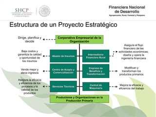 Estructura de un Proyecto Estratégico
Corporativo Empresarial de la
Organización
Abasto de Insumos
Intermediario
Financier...