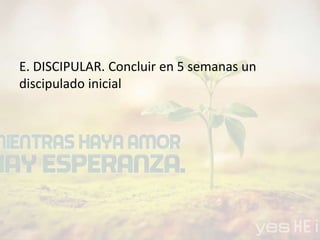 E. DISCIPULAR. Concluir en 5 semanas un
discipulado inicial
 