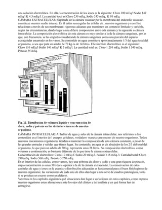 una solución electrolítica. En ella, la concentración de los iones es la siguiente: Cloro 100 mEq/l Sodio 142 
mEq/l K 4.5 mEq/l. La cantidad total es Cloro 250 mEq, Sodio 355 mEq, K 10 mEq. 
CÁMARA EXTRACELULAR: Separada de la cámara vascular por la membrana del endotelio vascular, 
constituye nuestro medio interno. En él están sumergidas las células de., nuestro organismo y con él se 
relacionan a través de sus membranas: rigurosas aduanas que mantienen un comercio limitado y variable, 
según las circunstancias, dando lugar a una difiere composición entre esta cámara y la siguiente o cámara 
intracelular. La composición electrolítica de esta cámara es muy similar a la de la cámara sanguínea, por lo 
que, con frecuencia. se las engloba considerando la cámara sanguínea como una porción del espacio 
extracelular encerrado en los vasos. Su contenido en agua constituye aproximadamente 1/3 del agua total del 
organismo, o sea que pata un adulto de 70 kg es de 14 litros. El contenido electrolítico es el siguiente: 
Cloro 110 mEq/l Sodio 140 mEq/l K 5 mEq/l. La cantidad total es: Cloro 1 210 mEq, Sodio 1 540 mEq, 
Potasio 55 mEq. 
CÁMARA INTRACELULAR: Al hablar de agua y sales de la cámara intracelular, nos referimos a los 
contenidos en el interior de l cuerpos celulares, verdadero «sancta sanctorum» de nuestro organismo. Todos 
nuestros mecanismos reguladores tienden a mantener la composición de esta cámara constante, a pesar de 
las grandes entradas y salidas que tienen lugar. Su contenido, en agua es de alrededor de los 2/3 del total del 
organismo, lo que para un adulto de 70 kg. representa unos 28 litros. Su composición electrolítica, como 
veremos a continuación, es bastante diferente de la que tiene la cámara extracelular. 
Concentración de electrolitos: Cloro 10 mEq./l. Sodio 20 mEq./l. Potasio 116 mEq./l. Cantidad total: Cloro 
280 mEq. Sodio 560 mEq. Potasio 3 250 mEq. 
En el interior de las células, como vemos, hay una pobreza de cloro y sodio y una gran riqueza de potasio, 
cuya concentración es unas 30 veces superior a la de la cámara extracelular. La conservación de estos 
capitales de agua y iones en la cuantía y distribución adecuadas es fundamental para el buen fisiologismo de 
nuestro organismo; las variaciones de cada uno de ellos dan lugar a una serie de cuadros patológicos, tanto 
si se produce un exceso como un defecto. 
Veremos en los capítulos siguientes qué situaciones dan lugar a variaciones de estos capitales, como expresa 
nuestro organismo estas alteraciones ante los ojos del clínico y del analista y en qué forma han de 
corregirse. 
 
