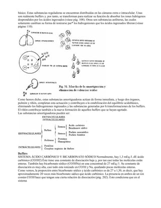 básico. Estas substancias reguladoras se encuentran distribuidas en las cámaras extra e intracelular. Unas 
son realmente buffers y. por tanto, se transforman para realizar su función de absorber los iones hidrógenos 
desprendidos por los ácidos ingresados (véase pág. 108). Otras son substancias anfóteras, las cuales 
solamente cambian su forma de ionizarse par* los hidrogeniones que los ácidos ingresados liberan (véase 
página 110). 
Como hemos dicho, estas substancias amortiguadoras actúan de forma inmediata, y luego dos órganos, 
pulmón y riñón, completan esta actuación y contribuyen a la estabilización del equilibrio acidobásico, 
eliminando los hidrogeniones ingresados y las substancias generadas por h transformaciones de los buffers. 
El riñón contribuye también a la nueva formación de aquellos huffers que se hayan agotado. 
Las substancias amortiguadoras pueden ser: 
Buffers 
SISTEMA ÁCIDO CARBÓNICO Y BICARBONATO SÓDICO Normalmente, hay 1,3 mEq./l. dE ácido 
carbónico (CO3H2) Éste tiene una constante de disociación baja y, por tan casi todas las moléculas están 
enteras. También hay bicarbonato sódico (CO3HNa) en una concentrad de 27 mEq./1. Su constante de 
disociación es muy alta, casi todo esta ionizado en CO3H y Na, quedando pocas moléculas enteras. 
Como vemos, la proporción entre bicarbonato sódico y ácido carbónico es de 27 a 1,30, es decir, que hay 
aproximadamente 20 veces más bicarbonato sádico que ácido carbónico. La presencia en ambos de un ion 
común CO3H hace que tengan una cierta relación de disociación (pág. 202). Esto condiciona que en el 
sistema 
 