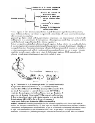 Todos o algunos de estos síntomas que nos Indican el grado de alcalosis se producen escalonadamente, 
siendo el último en alterarse y el primero en reponerse la alteración del pH, a cuya conservación se dirigen 
todos los mecanismos regulares. 
Igualmente que dijimos para la acidosis, denominamos compensada a una alcalosis cuando no ha motivado 
modificaciones en la concentración de hidrogeniones, y descompensada cuando llega a producirla. es decir, 
cuando ha rebasado las posibilidades de los sistemas reguladores. 
De todo lo expuesto, puede deducirse fácilmente que la ingestión desde el exterior y el normal metabolismo 
de nuestro organismo producen constantemente álcalis que seguirán la marcha de eliminación indicada, por 
lo que pulmón y riñón eliminan constantemente valencias alcalinas, restaurando la situación de los buffers. 
Lo mismo que ocurría para la acidosis cuando estos órganos están enfermos, aun con un aporte y situación 
metabólica normales, puede producirse un estado de alcalosis que, según sea debida a una alteración 
pulmonar o renal, se denominará alcalosis respiratoria o alcalosis renal. 
Alcalosis respir ator ia Cuando, por una hiperfunción voluntaria o patológica del centro respiratorio se 
produce una hiperpnea continuada (flg. 42), tiene lugar una eliminación aumentada de anhídrido carbónico. 
Esto favorece el desdoblamiento ácido carbónico, lo que en el sistema ácido carbónico­bicarbonato 
sádico 
da lugar a una disminución del denominador de la fracción 1, lo que obliga a un desplazamiento del 
numerador al denominador (flecha de puntos) para mantener la constante disociación del ácido carbónico. 
 