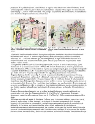 proporción de la pérdida de iones. Esta influencia es superior a las indicaciones del medio interno, de tal 
forma que pueden producirse graves alteraciones electrolíticas sin que el riñón, cegado por la acción de la 
hormona (fig. 6), varíe la composición de la orina, aunque las constantes del medio interno puedan alterarse 
hasta el ex tremo de producir la muerte del individuo. 
De todas las constelaciones hormonales patológicas que pueden presentarse, la que más frecuentemente 
encontramos en la práctica es la motivada por un stress: bien sea quirúrgico, anestésico, traumático 
infeccioso, etc. La situación hormonal que este stress produce, da lugar a una intensa alteración en la 
composición de la orina independiente mente, de las entradas y de la situación bioquímica del medio 
interno. Veamos cuál es: 
En las primeras 24 horas después del insulto que provoca la situación de stress se produce (fig. 7) una 
disminución de la diuresis que desciende a 800 o 1.000 ml. Esta disminución es pasajera, pues no suele 
durar más de un día. Debe descontarse de toda oliguria que sea n prolongada, pues casi siempre corresponde 
a un estado de deshidratación. No puede admitirse el coma poco porque es un postoperado; en realidad hay 
que añadir: orina poco porque es un postoperado, mal regulado que comienza a deshidratarse». 
Respecto al cloro y al sodio vemos (fig. 7) cómo la concentración de ambos iones disminuye brusca y 
paralelamente descendiendo a cifras dé 20 o 25 mEq./l. y aún menores durante 4 o 5 días, para aumentar 
después lentamente, recuperando los valores normales al cabo de 8 o 10 días después de haber cesado la 
situación de stress. Si éste persiste, el descenso persiste también el mismo tiempo y algunos días después de 
su desaparición. Este descenso cloro y sodio tiene lugar cualquiera que sea el suministro de estos iones. Así, 
un aporte normal de cloro y sodio en situación de stress lapidar materialmente nuestro organismo con sal sin 
que el riñón, regulador adecuado para la eliminación de esta sal, atienda a las llamadas del medio interno 
(fig. 6). 
Respecto al potasio, inmediatamente que se produce la situación de stress aumenta rápidamente su 
concentración en la orina (fig. 7) alcanzando cifras de 80 y 100 mEq./l. Este aumento desaparece 
rápidamente para volver a la concentración normal de 25 a 30 mEq./i. 24 horas después de desaparecido el 
stress. 
Riñón sano sometido a la acción de diuréticos: En forma hasta cierto punto análoga a como ocurre con la 
acción de las hormonas, el riñón sometido a la acción de un diurético se desentiende de la situación 
bioquímica del medio interno eliminando la cantidad de agua y sales a que la acción de este diurético le 
obliga (fig. 8). Su actitud servil ante el diurético le hace desoir las llamadas del medio interno 
comprometiendo a veces la homeostasis de éste. Así, continúa produciendo una diuresis normal o elevada 
aunque el enfermo esté claramente deshidratado y necesite conservar el agua de su organismo. En aquellos 
diuréticos, como las clorotiazidas y derivados, que aumentan la eliminación de sodio, ésta continúa elevada 
 