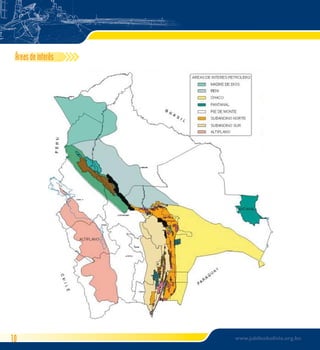 Áreas de interés 
10 www.jubileobolivia.org.bo 
 