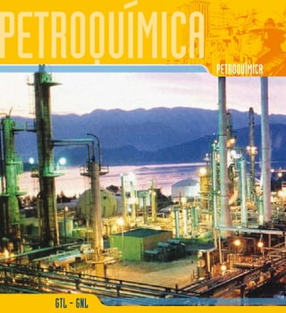 PETROQUÍMICA 
GTL - GNL 
www.jubileobolivia.org.bo 3 
 