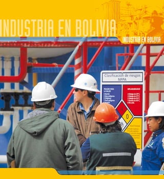 INDUSTRIA EN BOLIVIA 
www.jubileobolivia.org.bo 43 
 