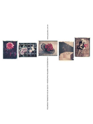 P O L A ROI D TRA N S F E R VE LI N S A LTO • RO DOLPHO PA J UABA FOTO G RAF IA S •   www.pajuaba.c o m.br
 