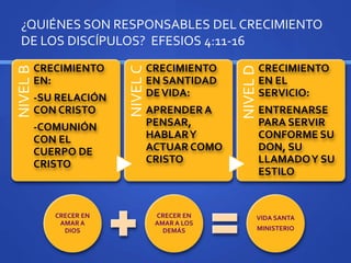 NIVELB
CRECIMIENTO
EN:
-SU RELACIÓN
CON CRISTO
-COMUNIÓN
CON EL
CUERPO DE
CRISTO
NIVELC
CRECIMIENTO
EN SANTIDAD
DEVIDA:
APRENDER A
PENSAR,
HABLARY
ACTUAR COMO
CRISTO
NIVELD
CRECIMIENTO
EN EL
SERVICIO:
ENTRENARSE
PARA SERVIR
CONFORME SU
DON, SU
LLAMADOY SU
ESTILO
CRECER EN
AMAR A
DIOS
CRECER EN
AMAR A LOS
DEMÁS
VIDA SANTA
MINISTERIO
¿QUIÉNES SON RESPONSABLES DEL CRECIMIENTO
DE LOS DISCÍPULOS? EFESIOS 4:11-16
 