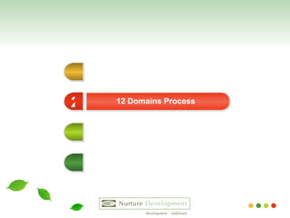 12 Domains Process 2 