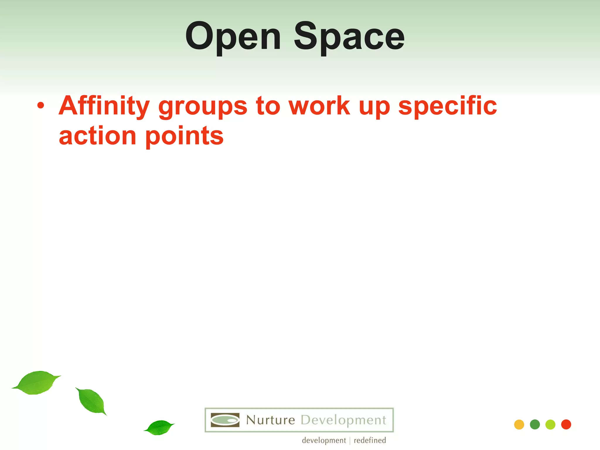 Open Space  Affinity groups to work up specific action points 