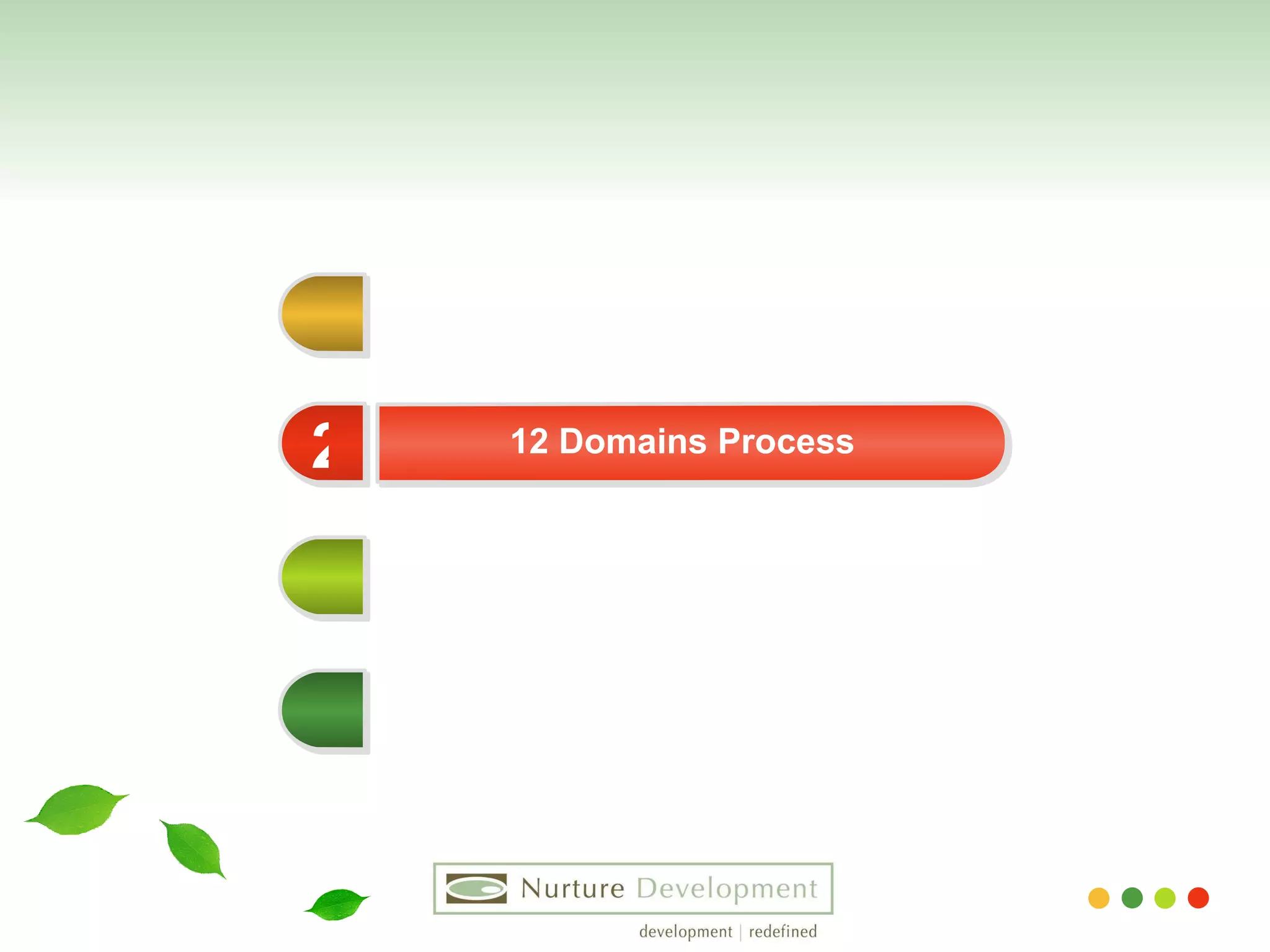 12 Domains Process 2 