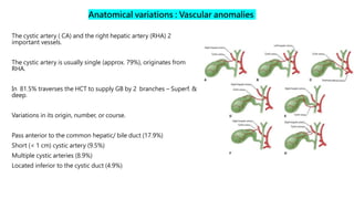 Cystic Artery Variations
