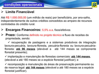 condições operacionais

 Limite Financiável
Até R$ 1.000.000,00 (um milhão de reais) por beneficiário, por ano-safra,
independentemente de outros créditos concedidos ao amparo de recursos
controlados do crédito rural.

 Encargos Financeiros: 5,5% a.a. fixos/efetivos
 Prazo: Conforme definido no projeto técnico e fluxo de receitas da
   propriedade, sendo:
      recuperação de pastagens e a sistemas produtivos de integração
  lavoura-pecuária, lavoura-floresta, pecuária-floresta ou lavoura-pecuária-
  floresta: até 96 meses (elevável a até 144 meses se componente
  florestal presente);
   implantação e manutenção de florestas comerciais: até 144 meses,
  (elevável a até 180 meses se a espécie florestal justificar); e
   recomposição e manutenção de áreas de preservação permanente ou
  de reserva legal: até 144 meses (elevável a até 180 meses se a espécie
  florestal justificar).
 