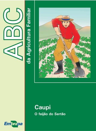 ABCdaAgriculturaFamiliar
O feijão do Sertão
Caupi
 