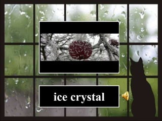 ice crystal
 