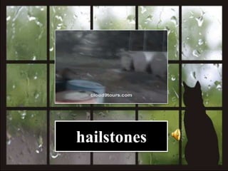 hailstones
 