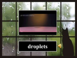 droplets
 