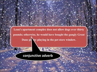 Leon's apartment complex does not allow dogs over thirty
pounds; otherwise, he would have bought the gangly Great
Dane puppy playing in the pet store window.
conjunctive adverb
 