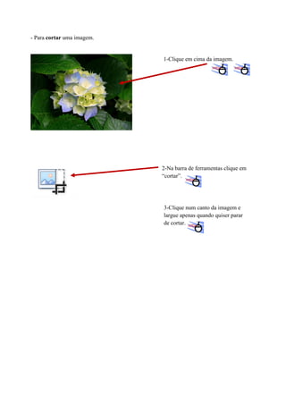 - Para cortar uma imagem.

1-Clique em cima da imagem.

2-Na barra de ferramentas clique em
“cortar”.

3-Clique num canto da imagem e
largue apenas quando quiser parar
de cortar.

 