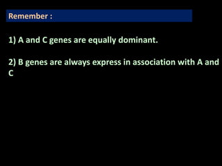 1) A and C genes are equally dominant.
2) B genes are always express in association with A and
C
Remember :
 