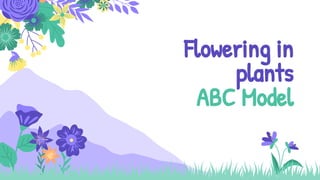 Flowering in
plants
ABC Model
 