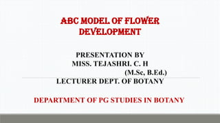 ABC Model of Flower Developement in Plants | PDF