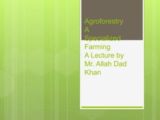 ABC of agroforestry A Presentation by Mr Allah Dad Khan NRM Specialist ...