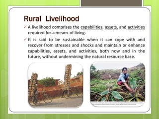 ABC of agroforestry A Presentation by Mr Allah Dad Khan NRM Specialist ...