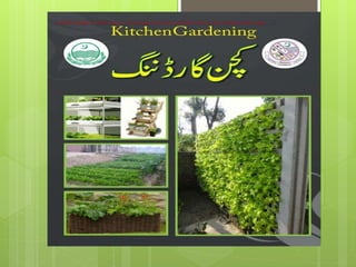 Abc of kitchen gardening A Presentation by Mr Allah Dad Khan Consultant NRM IUCN Pakistan | PPT