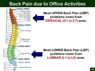 Back Pain due to Office Activities
14
Most UPPER Back Pain (UBP)
problems come from
CERVICAL (C1 to C7) area.
Most LOWER Back Pain (LBP)
problems come from
LUMBAR (L1 to L5) area.
 