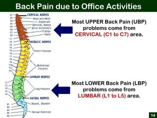 Back Pain due to Office Activities
14
Most UPPER Back Pain (UBP)
problems come from
CERVICAL (C1 to C7) area.
Most LOWER B...