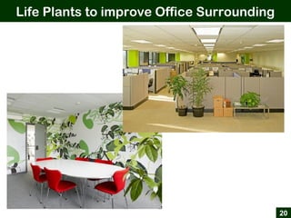 Life Plants to improve Office Surrounding
20
 