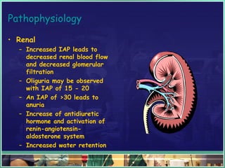 Pathophysiology
• Renal
– Increased IAP leads to
decreased renal blood flow
and decreased glomerular
filtration
– Oliguria may be observed
with IAP of 15 - 20
– An IAP of >30 leads to
anuria
– Increase of antidiuretic
hormone and activation of
renin-angiotensin-
aldosterone system
– Increased water retention
 