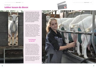 Concreet • Relatiemagazine AB Zuid-Holland • Vakwerk in beeld • Pagina 9Concreet • Relatiemagazine AB Zuid-Holland • Vakwerk in beeld • Pagina 8
98
Lekker tussen de dieren
Elisa melkt geiten
“Voordat ik de geiten ga melken, trek
ik mijn overall en laarzen aan, en ga ik
even bij de geiten kijken hoe ze er bij
staan. Pas daarna zet ik de melkmachine
aan en start het melken.” Elisa van den
Boogert- Kruithof (26) werkt sinds een
paar maanden bij een geitenmelkerij.
Ze is getrouwd en heeft twee kinderen.
“Na twee jaar thuis te zijn geweest
wilde ik weer heel graag aan de slag.
En ik vind het superleuk!”
De geiten staan zij aan zij tijdens het
melken. “Ze worden per groep gemolken”,
vertelt Elisa. “Eerst komen ze in een soort
wachtruimte terecht.” Geiten melken is
intensiever dan koeien melken, meent ze.
“Dat komt door de verschillende groepen
en de grotere aantallen. Maar bij geiten
hoef je bijvoorbeeld de uiers niet schoon
te maken. Dat scheelt weer veel tijd.”
Gemiddeld is ze anderhalf uur bezig met
driehonderd geiten. “Voor een ander
bedrijf doe ik ziektevervanging. Zij hebben
in totaal zevenhonderd geiten.”
Elisa heeft het erg naar haar zin bij
AB Zuid-Holland. “Ik wist eigenlijk niet
welk beroep ik moest keizen. Ik ben de
Hogere Agrarische School gaan doen. Die
opleiding was heel leuk, maar zelfs na
het afstuderen wist ik niet welke kant ik
op wilde. Pas nu voel ik dat ik helemaal
op mijn plek zit: lekker tussen de dieren
en verantwoordelijkheid dragen. Dat is
echt iets voor mij. Als een geit niet wil,
ziek is of de machine werkt niet, dan
moet ik daar ook mee om kunnen gaan.”
Elisa werkt in principe alleen. “Als het niet
lukt kan ik natuurlijk altijd bellen. Ik kan
goed samenwerken, maar ik vind het net
zo leuk om mijn eigen ding te doen. Dit
werk is echt een uitdaging.”
“Ik zit helemaal
op mijn plek”
Bekijk het filmpje
van Elisa op
youtube.com/
abzuidholland
 