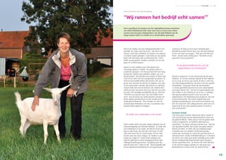 Concreet • Ledenmagazine AB Zuid-Holland • Cover • Pagina 12 Concreet • Relatiemagazine AB Zuid-Holland • Persoonlijk • Pagina 13
Ook in de stallen van het melkgeitenbedrijf is het
gezellig. De radio staat hard aan. “Dat doen we
expres, want dan schrikken ze minder van onweer
of andere harde geluiden”, legt Anita uit. De geiten
laten zelf ook horen dat ze aanwezig zijn. “Deze
willen graag gedekt worden; wanneer ze rits zijn
gaan ze zo hard roepen.”
Anita en Cees melken ruim 700 geiten met
250 jonge geiten in opfok. “De geiten zitten in
productie-groepen; van hoog productief naar laag
productief. Vijftien jaar geleden molken we zo’n
dertig koeien. Het quotum was echter te klein naar
onze zin en toen zijn we overgestapt op geiten. Ik
vind ze persoonlijk leuker dan koeien. Die zijn zo
groot. Een bok durf ik zelf wel te pakken. Een stier
is een heel ander verhaal. We leveren nu vijf keer
zoveel melk dan met de koeien: een miljoen liter
melk per jaar. Dat komt neer op 1400 liter per geit
per jaar. Het landelijk gemiddelde ligt op 1000 tot
1100 liter per geit per jaar, dus wij melken heel
veel.” Aan de hand van melkcontroles worden de
beste geiten geselecteerd en die worden kunst-
matig geïnsemineerd. “Hier houden we dan de
toekomstige dekbokjes van aan. Zo proberen we
steeds betere geiten te krijgen.”
“Ik molk vier ochtenden in de week”
Anita maakt sinds een paar weken gebruik van de
reductieregeling van AB Zuid-Holland. “Ik molk zelf
vier ochtenden in de week. Nu heb ik al een jaar
pijn in mijn heup, dus dat lukt niet meer. Ik wist
zelfs niet meer hoe ik moest lopen. Ik kon mijn
knieën ook niet meer buigen. En melken is juist
trapje op, trapje af.” Anita heeft onlangs een
injectie gekregen in haar heupgewricht als pijn-
stilling/ontstekingsremmer. “Gelukkig doet die
injectie heel veel”, knikt ze blij. “Waarschijnlijk heb
ik een slijmbeursontsteking én een gescheurde
“Wij runnen het bedrijf echt samen’”
Anita is blij met de reductieregeling
Het is gezellig in de keuken van het spiksplinternieuwe woonhuis
van Anita Nooteboom (45). Haar man Cees en zoon Coen zitten
samen met een paar medewerkers van AB Zuid-Holland aan de
lange houten tafel. Er is koffie en er wordt lekker gesnoept.
1312
meniscus. Ik krijg nu toch weer fysiotherapie.”
Bedrijfsverzorger Martin Dam van AB Zuid-Holland
is een van haar vervangers. “We zijn echt blij met
hem”, vertelt Anita enthousiast. “Hij heeft al een
paar keer bij ons gewerkt.”
“In de geitenmelkerij een van de
topbedrijven van Nederland”
Martin is ongeveer 17 jaar werkzaam bij AB Zuid-
Holland. “In eerste instantie werkte ik hier fulltime
en nu zit ik op 30 uur per week. Ik heb er zelf nog
een fokschapenbedrijf bij. Op zich is dat een goede
combinatie.” Vorig jaar heeft hij vijf maanden
’s nachts gemolken bij Anita en Cees, licht bedrijfs-
verzorger Martin toe. “Nu ben ik ingeschakeld voor
het melken in de ochtend en af en toe ’s middags.
Wat geitenmelkerij betreft is het een van de
topbedrijven van Nederland qua productie, dus dat
is heel interessant. We praten regelmatig over
bedrijfsontwikkelingen. Dat vind ik het leukste van
AB: de contacten met collega-boeren. Met Cees en
Anita heb ik een zeer prettig contact. Ik werk er
met veel plezier.”
Gesloten bedrijf
“Nu Anita geen fysieke arbeid kan doen, houdt ze
zich vooral bezig met de administratieve kant van
de geitenmelkerij. “Alles wat je met de geiten doet
moet je registreren. Ze hebben allemaal een
stamkaart.” Ze kopen zelf geen geiten aan. “Wij zijn
een gesloten bedrijf. Dat is puur om geen ziektes
binnen te halen. In 2005 zijn we volledig omge-
schakeld naar een dubbel certificaatwaardig
ziektevrije veestapel en vanaf die periode komt er
niemand meer zonder bedrijfskleding en –schoeisel
de stal in. Een zieke geit geeft namelijk geen melk.”
Op het melkgeitenbedrijf worden geen kaaspro-
ducten geproduceerd. “Ze komen de melk vijf keer
in de veertien dagen ophalen en dat gaat naar
Bettinehoeve in Etten-Leur. Zij verkazen het.”
 