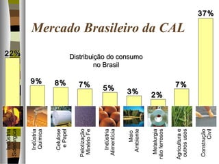 37%37%
Construção
Civil
Indústria
Alimentícia
Indústria
Siderúrgica
Metalurgia
nãoferrosos
Celulose
ePapel
Meio
Ambiente
Indústria
Química
Pelotização
MinérioFe
Agriculturae
outrosusos
22%22%
9%9% 8%8% 7%7%
5%5%
3%3%
2%2%
7%7%
Distribuição do consumoDistribuição do consumo
no Brasilno Brasil
Mercado Brasileiro da CAL
 
