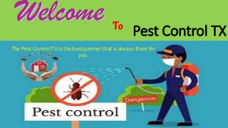 Pest Control TX
The Pest ControlTX is the best partner that is always there for
you.
To
 