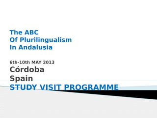 The ABC
Of Plurilingualism
In Andalusia
6th-10th MAY 2013
Córdoba
Spain 
STUDY VISIT PROGRAMME
 