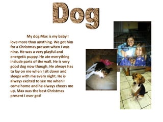My dog Max is my baby I
love more than anything. We got him
for a Christmas present when I was
nine. He was a very playful and
energetic puppy. He ate everything
include parts of the wall. He is very
good dog now though. He always has
to lay on me when I sit down and
sleeps with me every night. He is
always excited to see me when I
come home and he always cheers me
up. Max was the best Christmas
present I ever got!
 