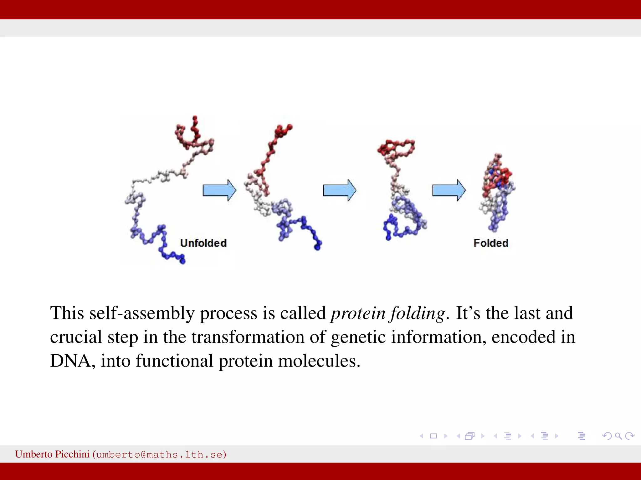 This self-assembly process is called protein folding. It’s the last and crucial step in the transformation of genetic information, encoded in DNA, into functional protein molecules. Umberto Picchini (umberto@maths.lth.se) 