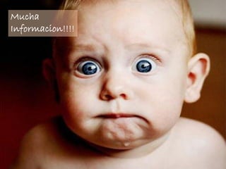 Mucha
Informacion!!!!
 