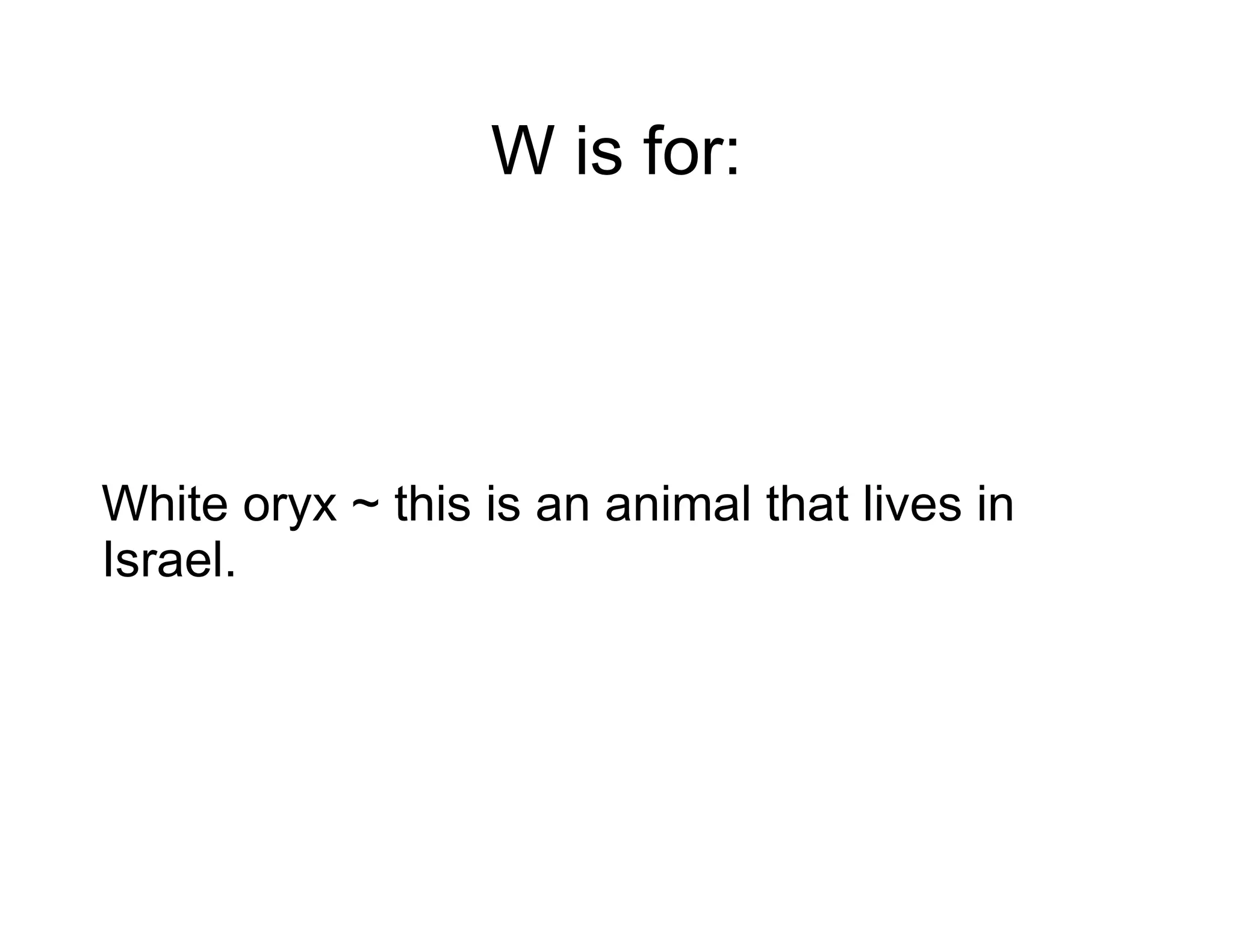 W is for: White oryx ~ this is an animal that lives in Israel. 