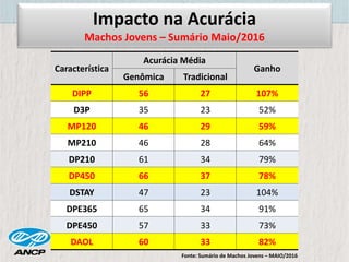 Característica
Acurácia Média
Ganho
Genômica Tradicional
DIPP 56 27 107%
D3P 35 23 52%
MP120 46 29 59%
MP210 46 28 64%
DP210 61 34 79%
DP450 66 37 78%
DSTAY 47 23 104%
DPE365 65 34 91%
DPE450 57 33 73%
DAOL 60 33 82%
Fonte: Sumário de Machos Jovens – MAIO/2016
Impacto na Acurácia
Machos Jovens – Sumário Maio/2016
 