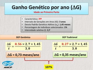 Ganho Genético por ano (G)
Idade ao Primeiro Parto
• Característica: IPP
• Intervalo de Gerações em Anos (IG): 3 anos
• Desvio Padrão Genético Aditivo (σA): 1,45 meses
• Porcentagem de indivíduos selecionados: 1%
• Intensidade seletiva (i): 2,7
DEP Genômica DEP Tradicional
G = 0,73 meses/ano G = 0,35 meses/ano
107%
∆𝑮
𝒕
=
𝟎, 𝟓𝟔 × 𝟐, 𝟕 × 𝟏, 𝟒𝟓
𝟑, 𝟎
∆𝑮
𝒕
=
𝟎, 𝟐𝟕 × 𝟐, 𝟕 × 𝟏, 𝟒𝟓
𝟑, 𝟎
 