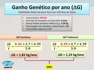Ganho Genético por ano (G)
Habilidade Maternal para Peso aos 120 Dias de Idade
• Característica: MP120
• Intervalo de Gerações em Anos (IG): 3 anos
• Desvio Padrão Genético Aditivo (σA): 4,39 kg
• Porcentagem de indivíduos selecionados: 1%
• Intensidade seletiva (i): 2,7
DEP Genômica DEP Tradicional
G = 1,82 kg/ano G = 1,15 kg/ano
59%
∆𝑮
𝒕
=
𝟎, 𝟒𝟔 × 𝟐, 𝟕 × 𝟒, 𝟑𝟗
𝟑, 𝟎
∆𝑮
𝒕
=
𝟎, 𝟐𝟗 × 𝟐, 𝟕 × 𝟒, 𝟑𝟗
𝟑, 𝟎
 