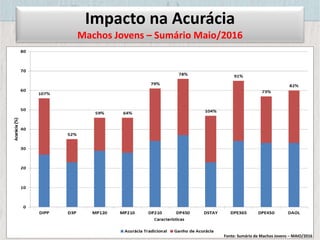 Impacto na Acurácia
Machos Jovens – Sumário Maio/2016
Fonte: Sumário de Machos Jovens – MAIO/2016
 